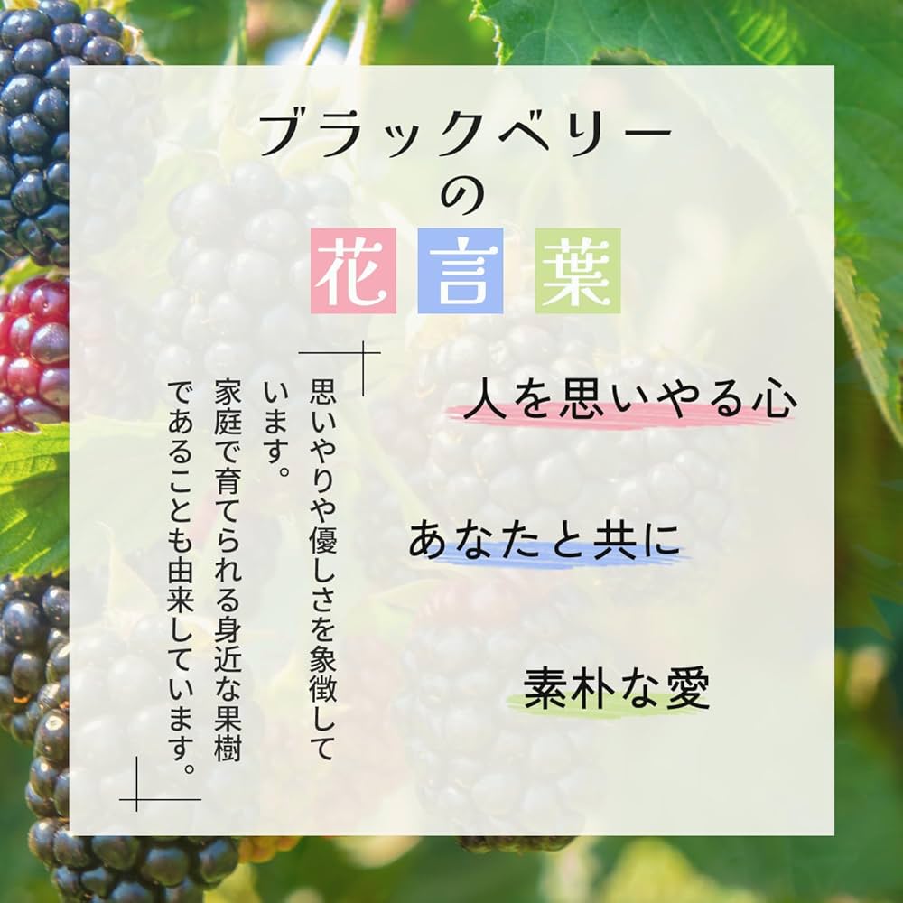 ブラックベリー5キロ＊ 1080base_3_720x.jpg